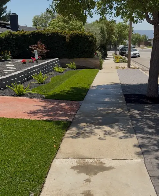image 2 (1)